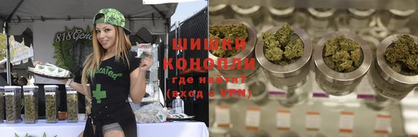 стафф Аркадак